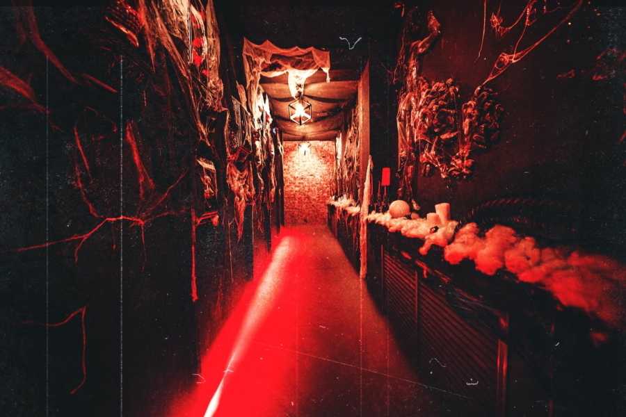 Квест в реальности Начало от компании DM Quests Квест в реальности Начало от компании DM Quests